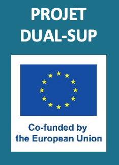 projet Dual Sup